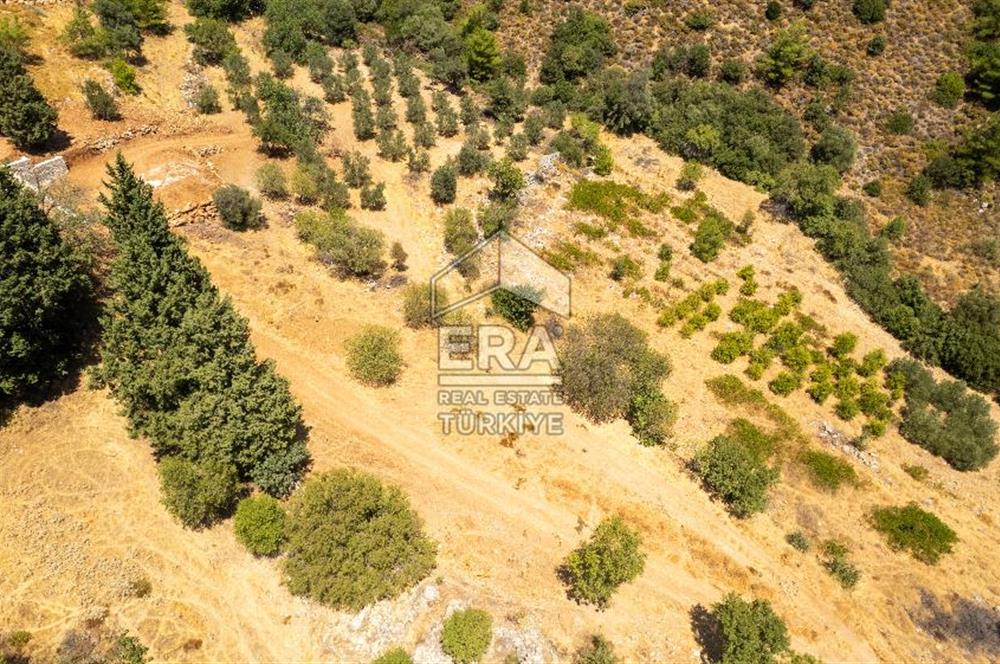 Datça Hızırşah'ta Satılık Deniz Manzaralı 1.051 m2 Tarla