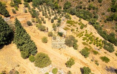 Datça Hızırşah'ta Satılık Deniz Manzaralı 1.051 m2 Tarla
