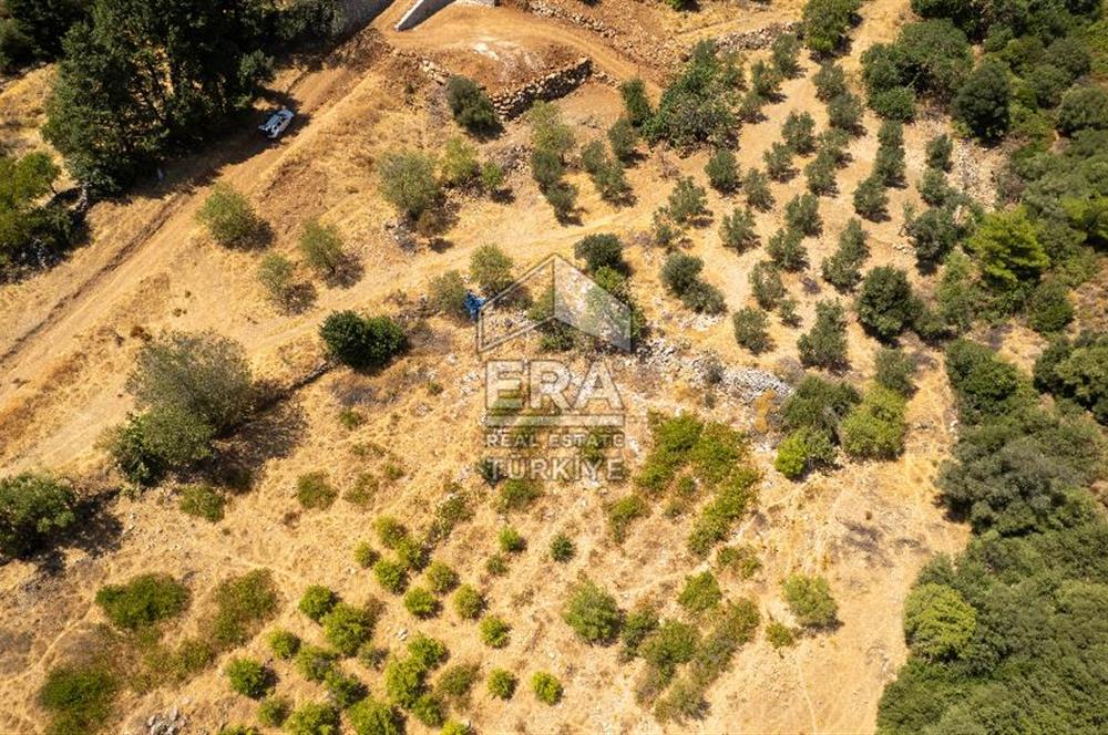 Datça Hızırşah'ta Satılık Deniz Manzaralı 1.051 m2 Tarla
