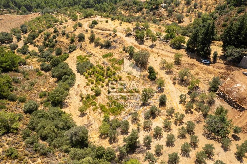 Datça Hızırşah'ta Satılık Deniz Manzaralı 1.051 m2 Tarla