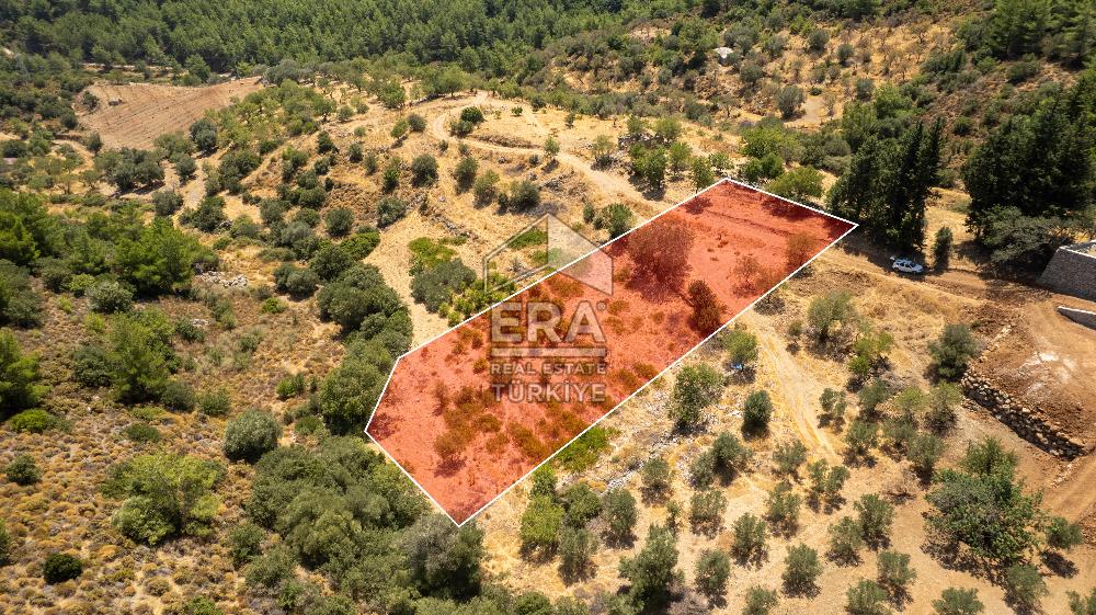Datça Hızırşah'ta Satılık Deniz Manzaralı 1.051 m2 Tarla