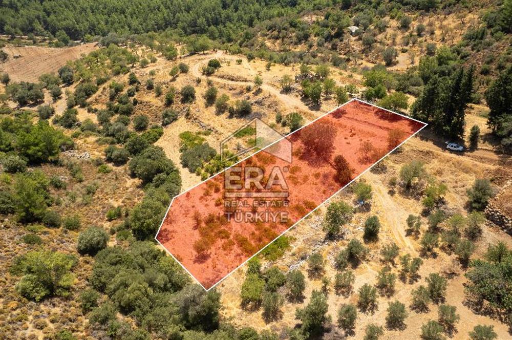 Datça Hızırşah'ta Satılık Deniz Manzaralı 1.051 m2 Tarla