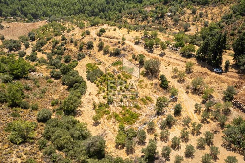 Datça Hızırşah'ta Satılık Deniz Manzaralı 1.051 m2 Tarla