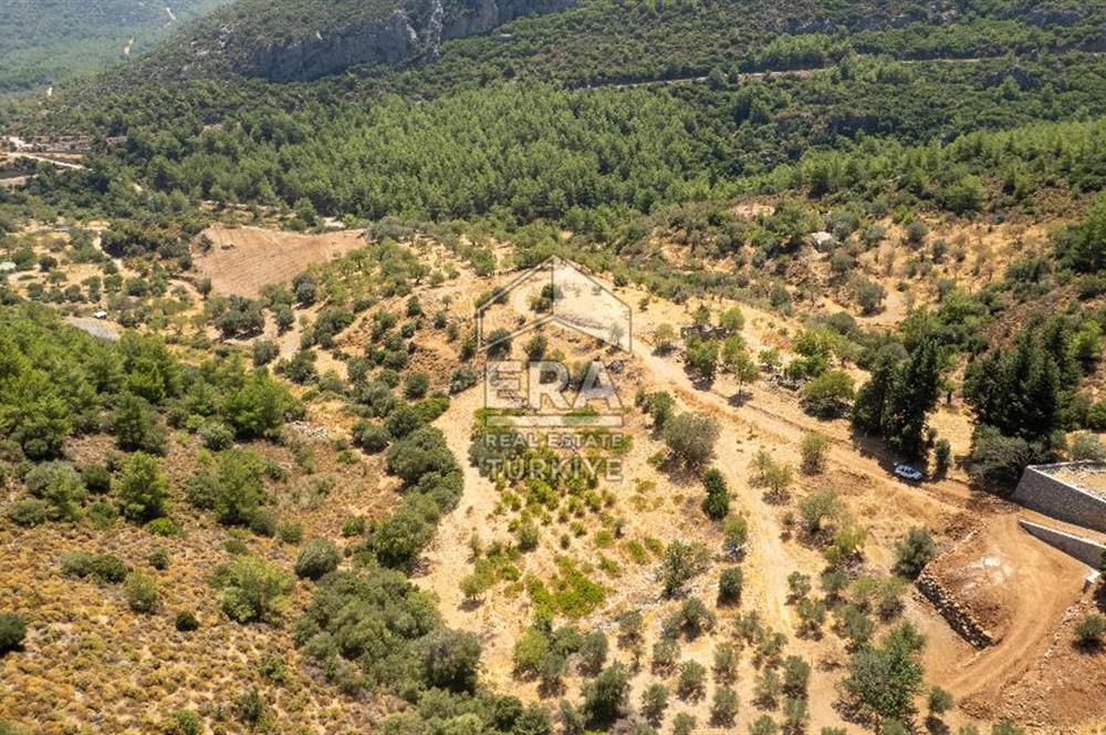Datça Hızırşah'ta Satılık Deniz Manzaralı 1.051 m2 Tarla
