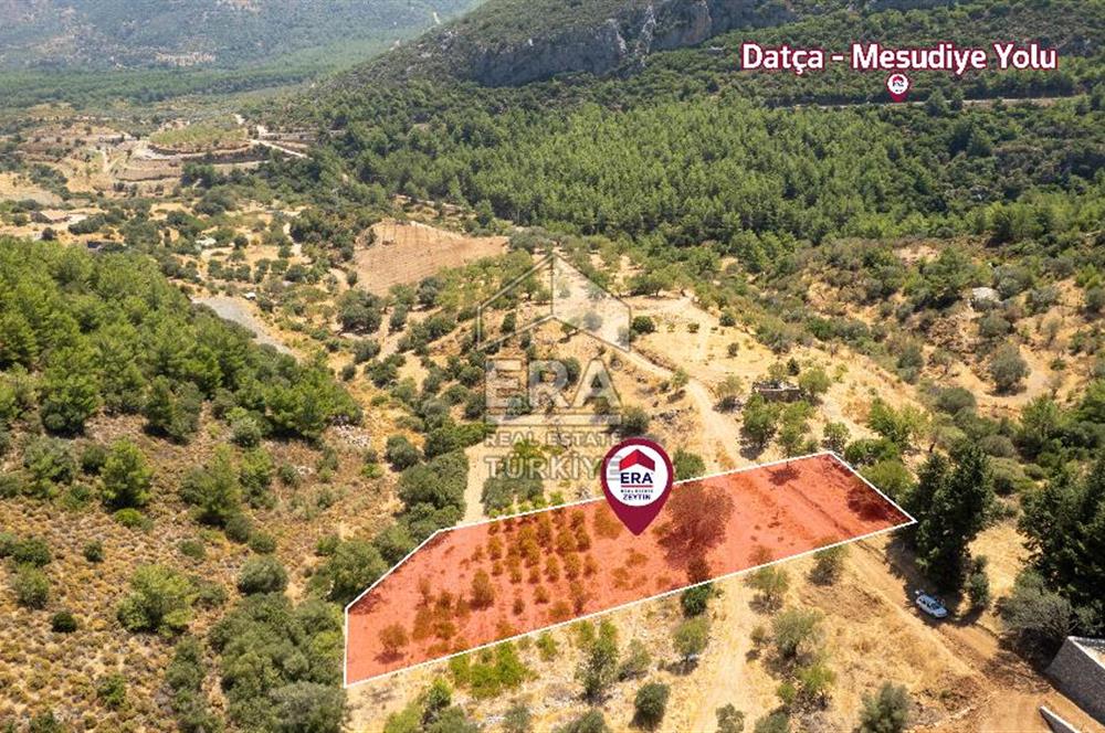 Datça Hızırşah'ta Satılık Deniz Manzaralı 1.051 m2 Tarla