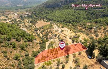 Datça Hızırşah'ta Satılık Deniz Manzaralı 1.051 m2 Tarla