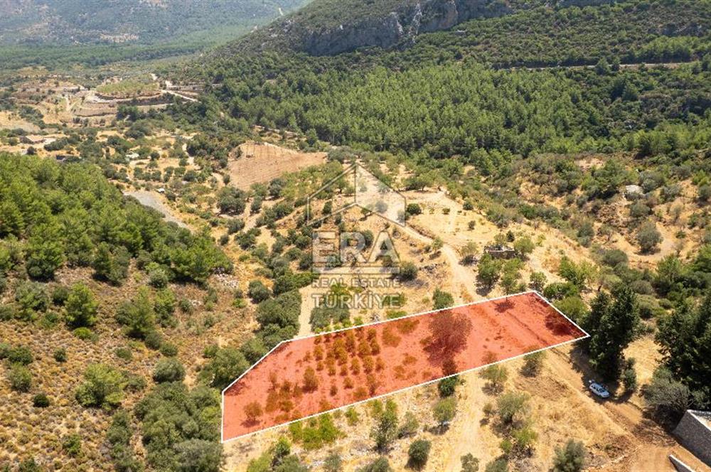 Datça Hızırşah'ta Satılık Deniz Manzaralı 1.051 m2 Tarla