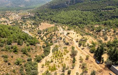 Datça Hızırşah'ta Satılık Deniz Manzaralı 1.051 m2 Tarla