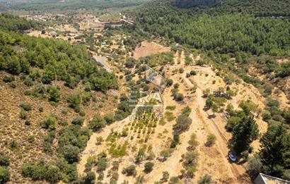 Datça Hızırşah'ta Satılık Deniz Manzaralı 1.051 m2 Tarla