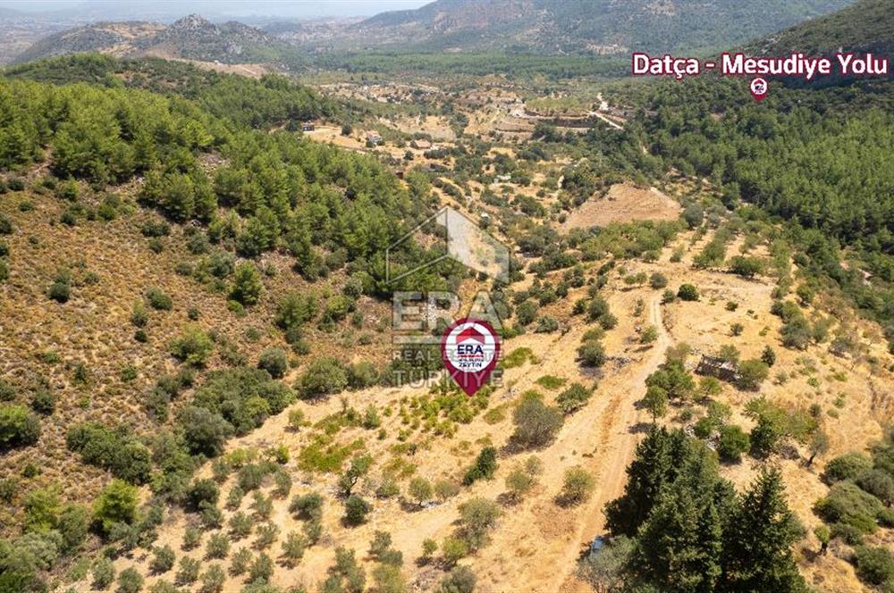 Datça Hızırşah'ta Satılık Deniz Manzaralı 1.051 m2 Tarla