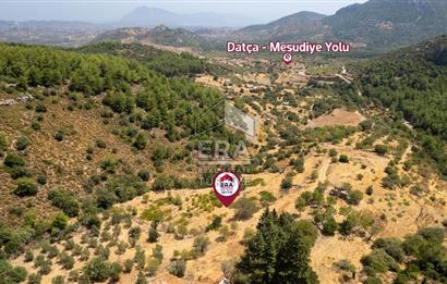 Datça Hızırşah'ta Satılık Deniz Manzaralı 1.051 m2 Tarla