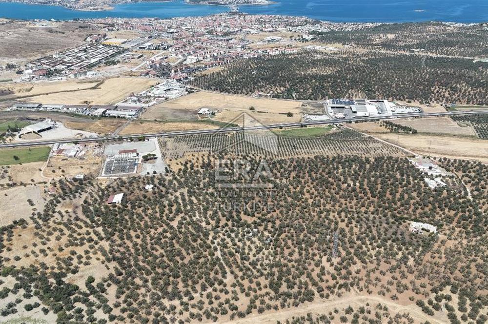 FIRSAT ZEYİNLİK 14.468 M2 İZMİR ÇANAKKALE YOLUNA 50 M MESAFEDE