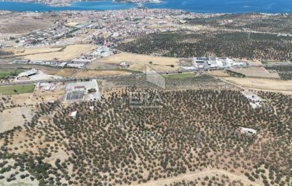 FIRSAT ZEYİNLİK 14.468 M2 İZMİR ÇANAKKALE YOLUNA 50 M MESAFEDE