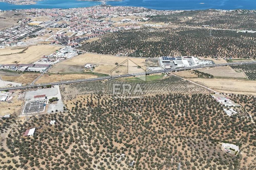 FIRSAT ZEYİNLİK 14.468 M2 İZMİR ÇANAKKALE YOLUNA 50 M MESAFEDE