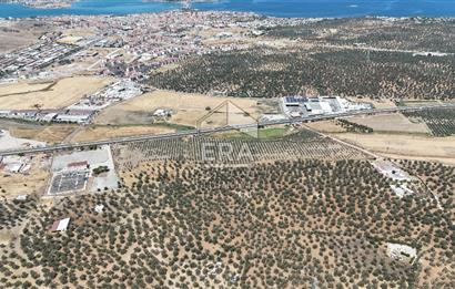 FIRSAT ZEYİNLİK 14.468 M2 İZMİR ÇANAKKALE YOLUNA 50 M MESAFEDE