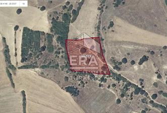 ERA SÖZ DEN BİGADİÇ BABAKÖY MH. SATILIK 6120M² TARLA