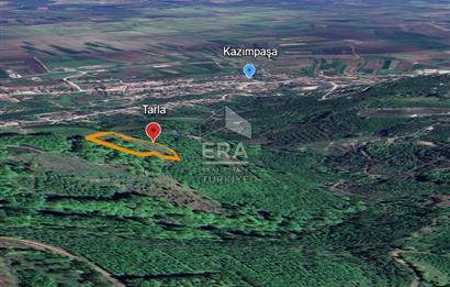 ERA KARAT, SERDİVAN KAZIMPAŞA MANZARALI 4871 m² TARLA