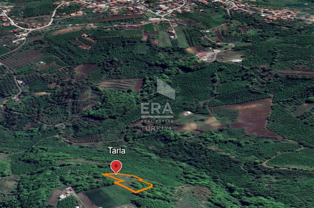 ERA KARAT, SERDİVAN KAZIMPAŞA MANZARALI 4871 m² TARLA