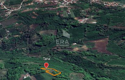 ERA KARAT, SERDİVAN KAZIMPAŞA MANZARALI 4871 m² TARLA