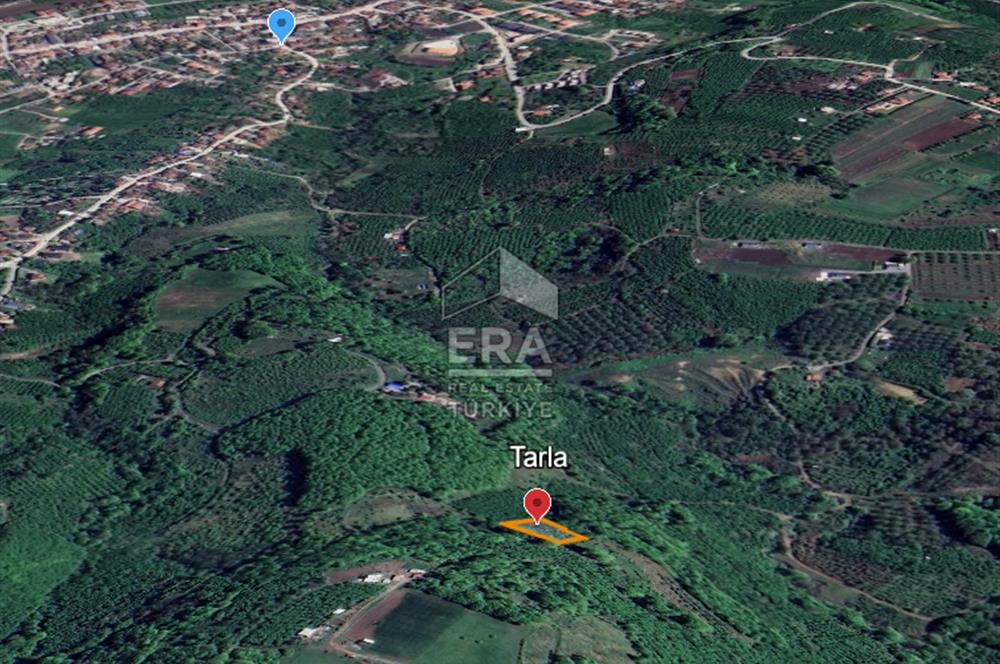 ERA KARAT, SERDİVAN KAZIMPAŞA AYAKALTI MANZARLI 1396 m² TARLA