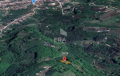 ERA KARAT, SERDİVAN KAZIMPAŞA AYAKALTI MANZARLI 1396 m² TARLA