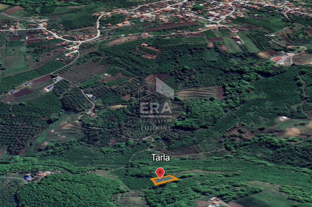 ERA KARAT, SERDİVAN KAZIMPAŞA AYAKALTI MANZARLI 1396 m² TARLA