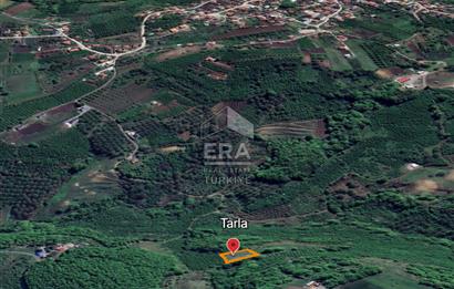 ERA KARAT, SERDİVAN KAZIMPAŞA AYAKALTI MANZARLI 1396 m² TARLA