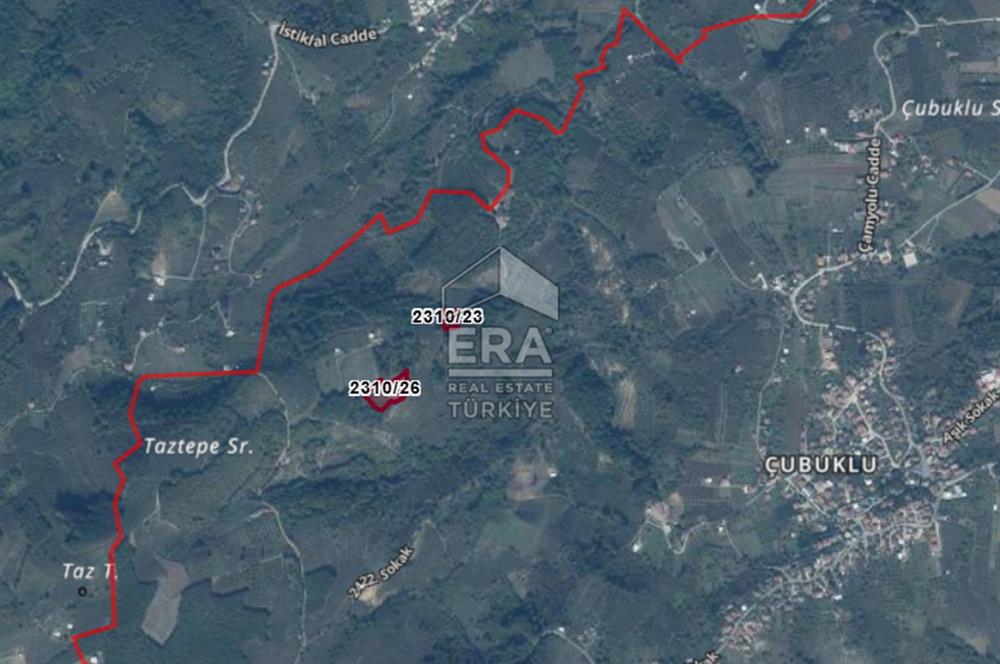 ERA KARAT, SERDİVAN KAZIMPAŞA MANZARALI 4871 m² TARLA