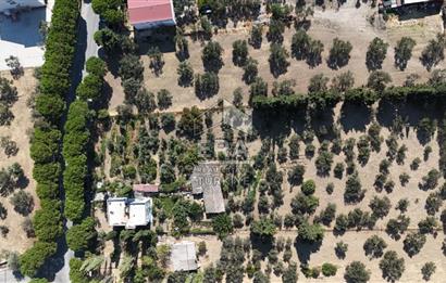 İzmir Aliağa Yukarı Şakran'da Satılık 7,202 M2 arsa