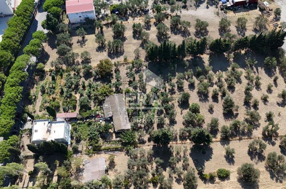 İzmir Aliağa Yukarı Şakran'da Satılık 7,202 M2 arsa