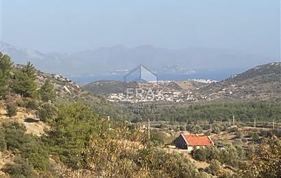 Datça Hızırşah'ta Satılık Deniz Manzaralı 1.051 m2 Tarla