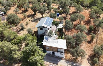 Kemalpaşa’da 45 m² Evi Olan, 769 m² Tarla Satılık 