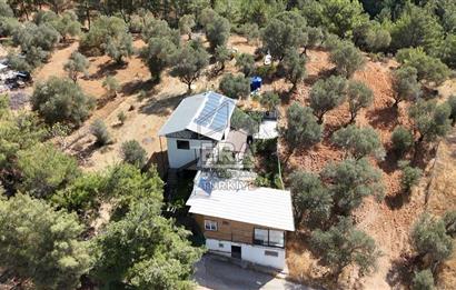 Kemalpaşa’da 45 m² Evi Olan, 769 m² Tarla Satılık 