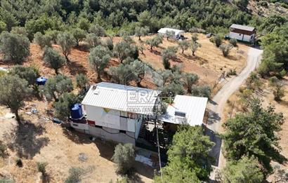 Kemalpaşa’da 45 m² Evi Olan, 769 m² Tarla Satılık 