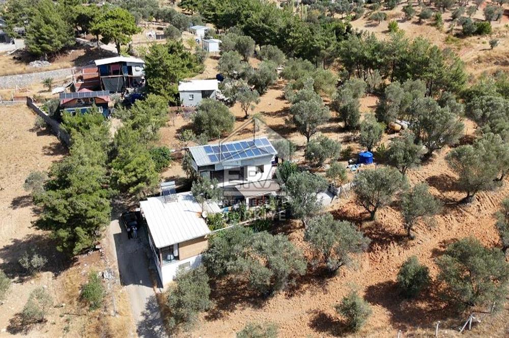 Kemalpaşa’da 45 m² Evi Olan, 769 m² Tarla Satılık 