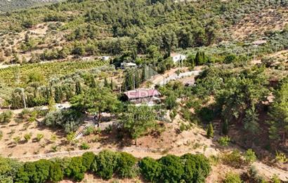 Kemalpaşa Ören 75. Yıl Cumhuriyet Mahallesi Satılık Müstakil Ev