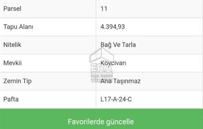 Urla Yağcılar'da Gelişime Açık Bölgede Yatırımlık Arsa