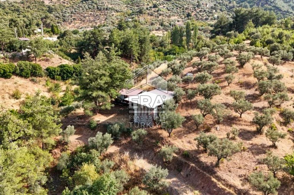 Kemalpaşa Ören 75. Yıl Cumhuriyet Mahallesi Satılık Müstakil Ev