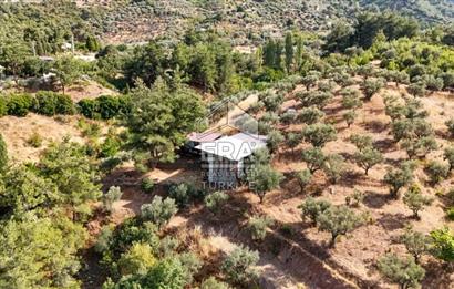 Kemalpaşa Ören 75. Yıl Cumhuriyet Mahallesi Satılık Müstakil Ev