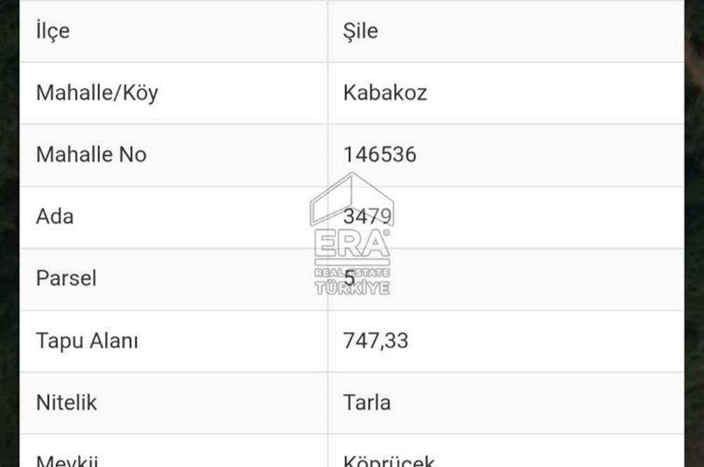 ŞİLE KABAKOZ'DA DOĞAYLA İÇ İÇE YATIRIM FIRSATI !!!