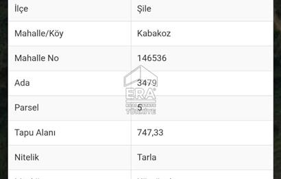 ŞİLE KABAKOZ'DA DOĞAYLA İÇ İÇE YATIRIM FIRSATI !!!
