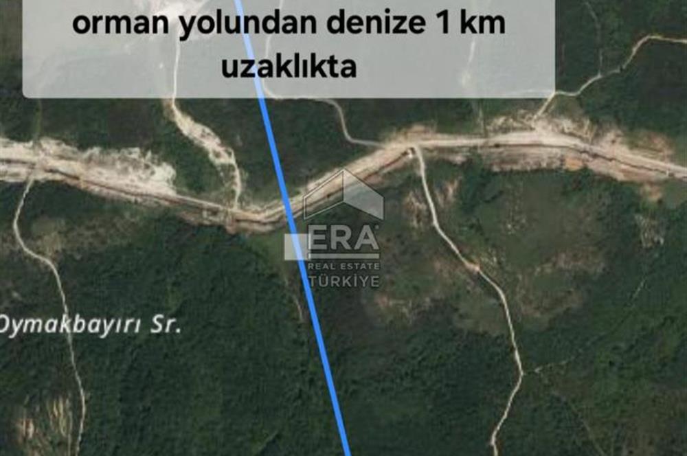 ŞİLE KABAKOZ'DA DOĞAYLA İÇ İÇE YATIRIM FIRSATI !!!