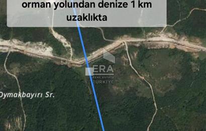 ŞİLE KABAKOZ'DA DOĞAYLA İÇ İÇE YATIRIM FIRSATI !!!
