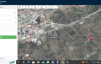   ERA SÖZ GAYRİMENKULDEN BALIKESİR HAVRANDA SATILIK  ZEYTİNLİK  