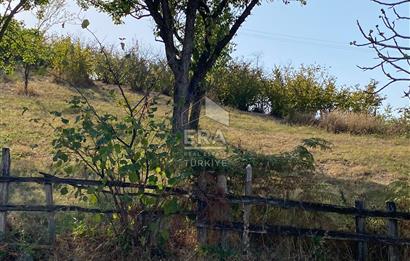 Sapanca Dibektaş Satılık Arsa