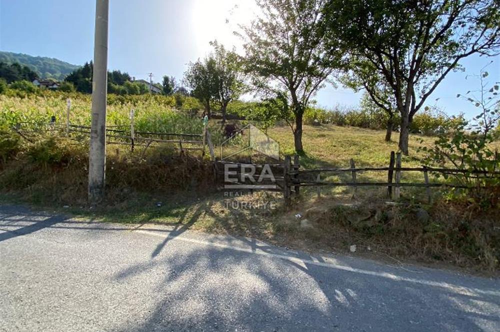 Sapanca Dibektaş Satılık Arsa
