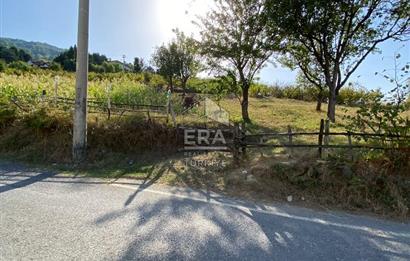 Sapanca Dibektaş Satılık Arsa