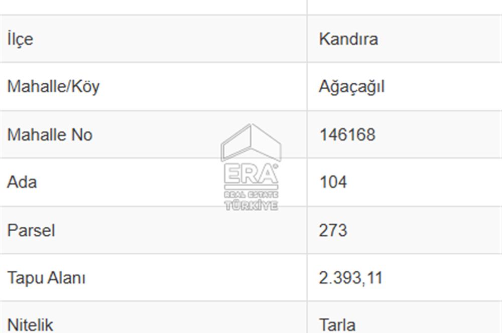 KANDIRA AĞAÇAĞILDA SATILIK TARLA