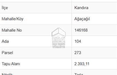 KANDIRA AĞAÇAĞILDA SATILIK TARLA