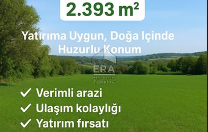 KANDIRA AĞAÇAĞILDA SATILIK TARLA